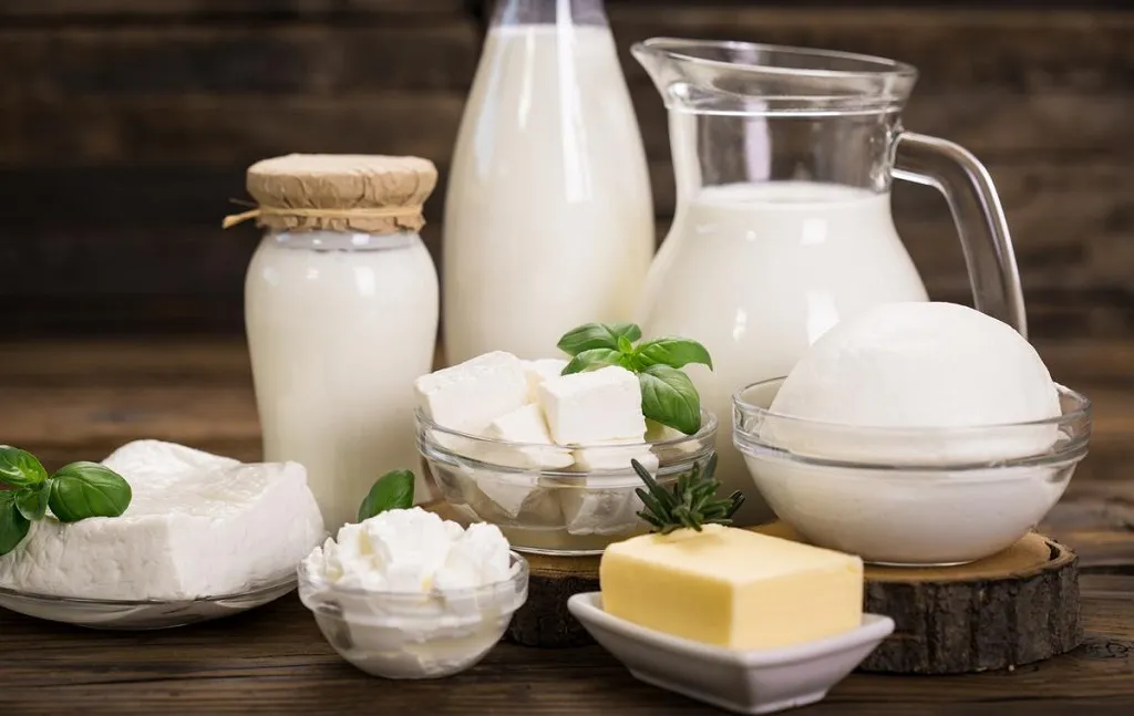 Dairy Product 2